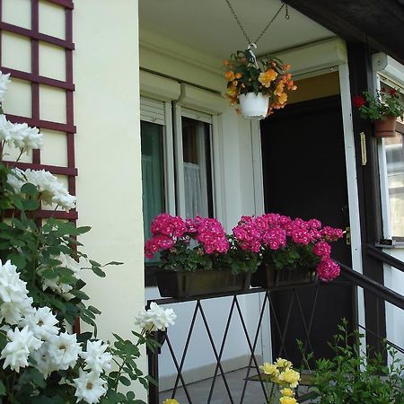 Liza Apartman Gyula Rum bild