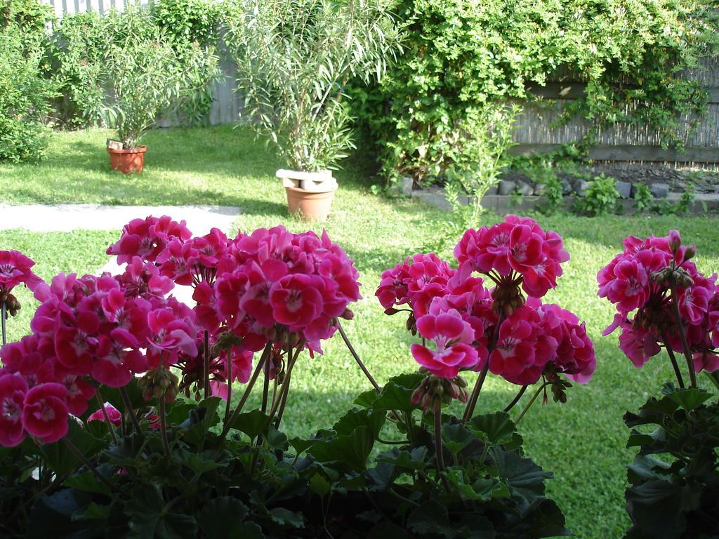 Liza Apartman Gyula Rum bild