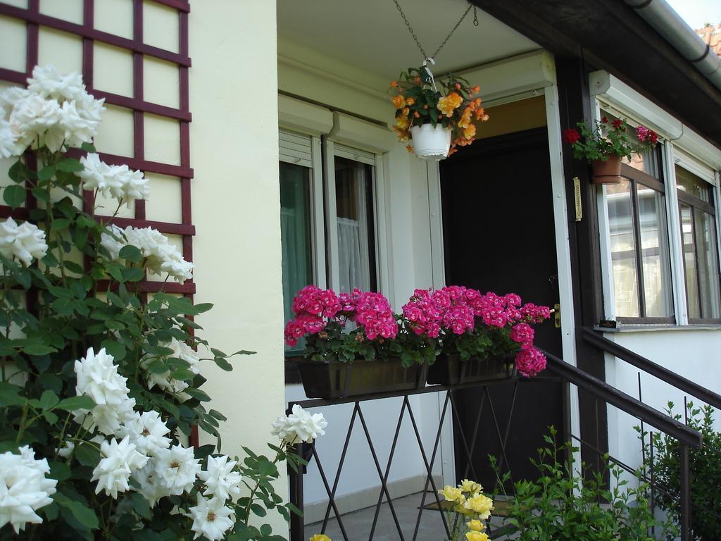 Liza Apartman Gyula Rum bild