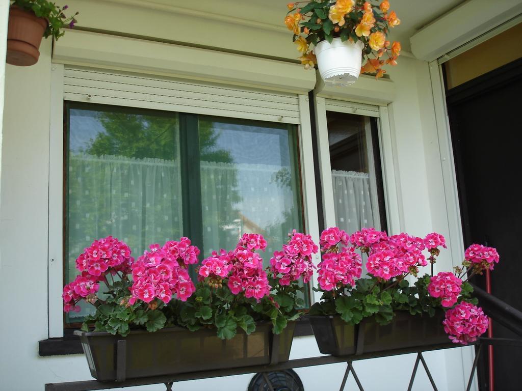 Liza Apartman Gyula Rum bild